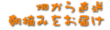 畑から直送朝摘みをお届け
